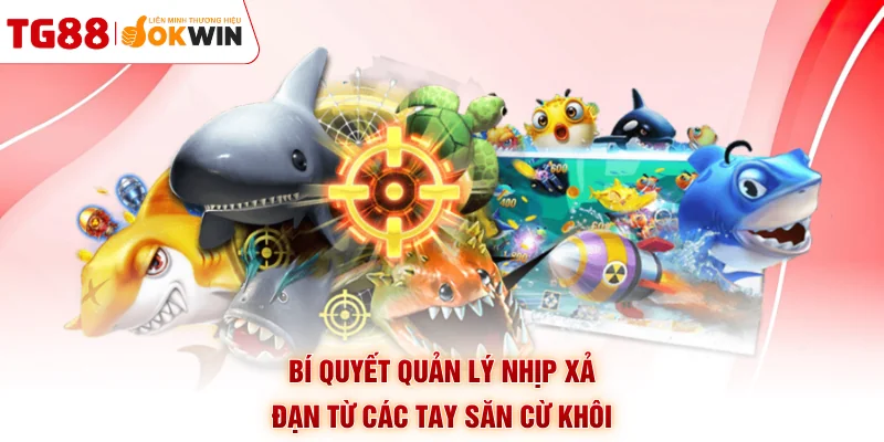 Bí quyết quản lý nhịp xả đạn từ các tay săn cừ khôi
