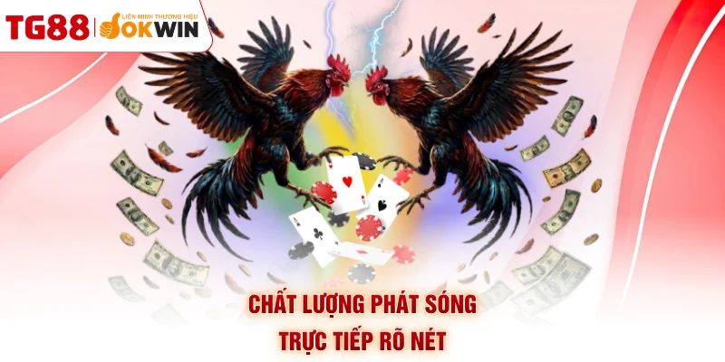 Chất lượng phát sóng trực tiếp rõ nét