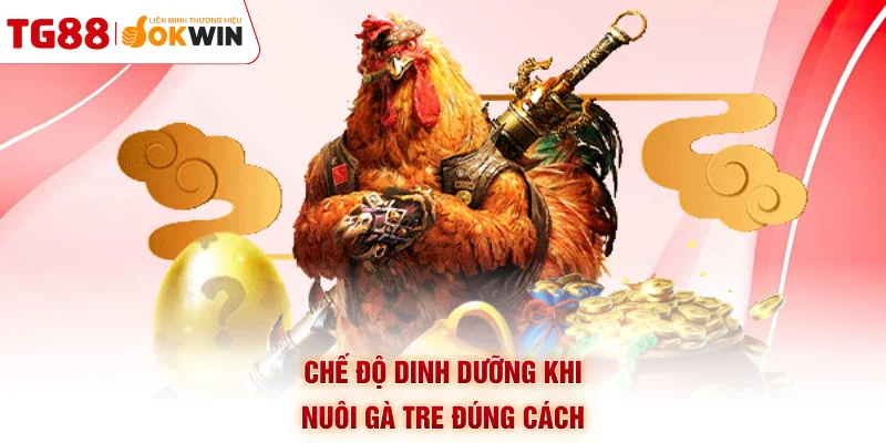 Chế độ dinh dưỡng khi nuôi gà tre đúng cách