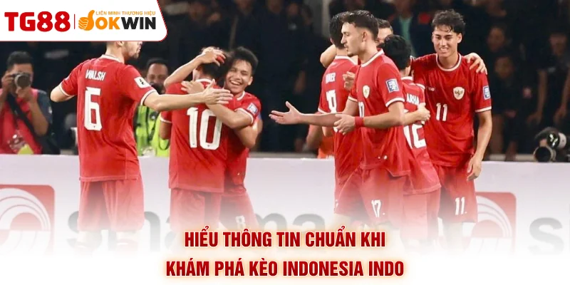 Hiểu thông tin chuẩn khi khám phá kèo Indonesia Indo