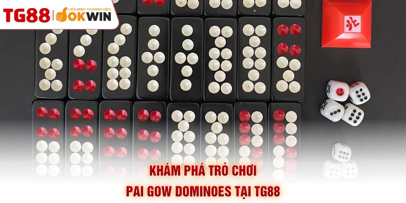 Khám phá trò chơi Pai Gow Dominoes tại TG88