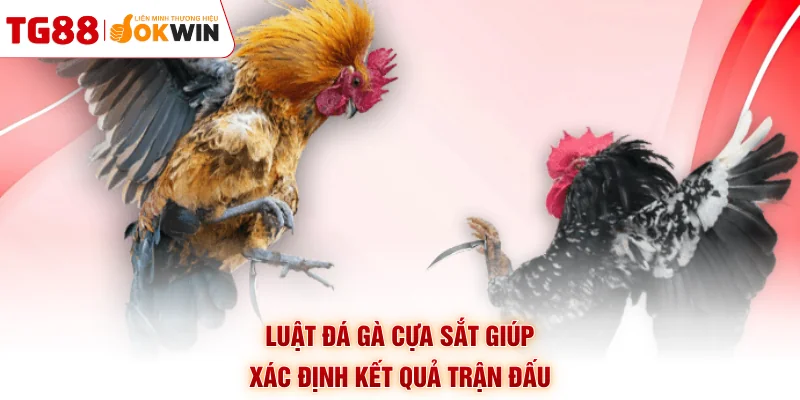 Luật đá gà cựa sắt giúp xác định kết quả trận đấu