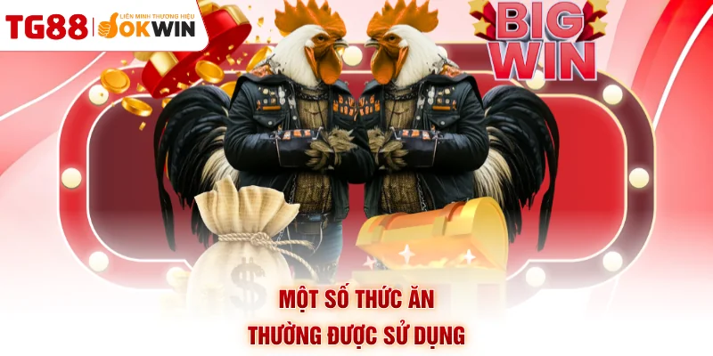 Một số thức ăn thường được sử dụng