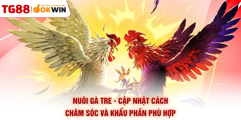 Nuôi Gà Tre - Cập Nhật Cách Chăm Sóc Và Khẩu Phần Phù Hợp