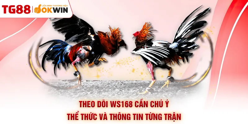 Theo dõi WS168 cần chú ý thể thức và thông tin từng trận