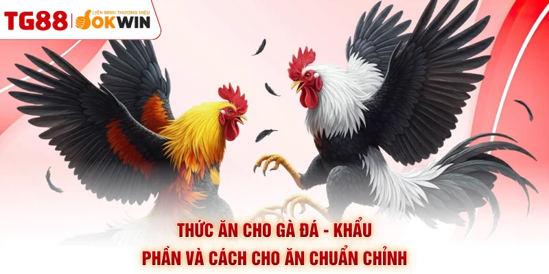 Thức Ăn Cho Gà Đá - Khẩu Phần Và Cách Cho Ăn Chuẩn Chỉnh